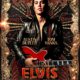 Poster Elvis